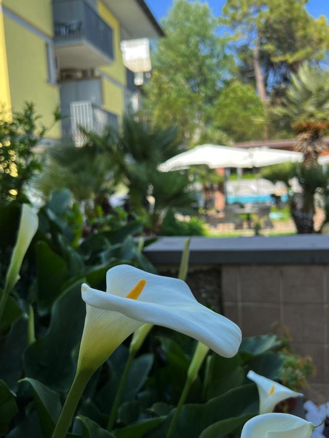 Hotel Ai Pini Grado Luaran gambar