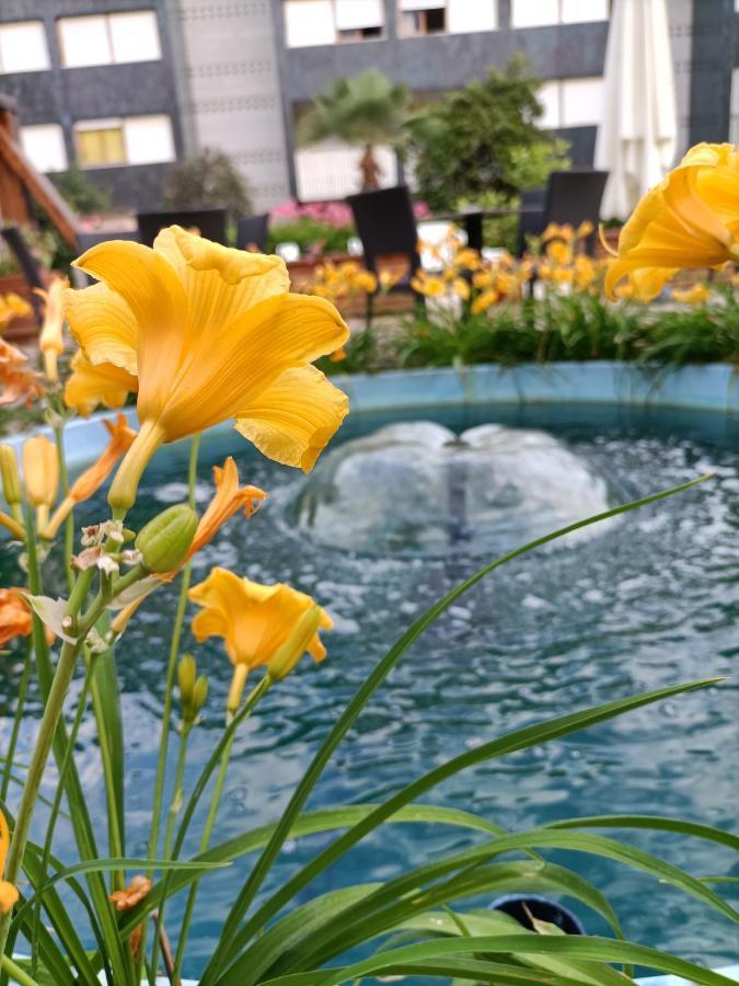 Hotel Ai Pini Grado Luaran gambar